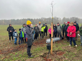 Dobrovolníci v Rašovicích vysázeli alej krajových ovocných odrůd