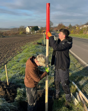 Okrašlovací spolek Jenichov má nové ovocné aleje