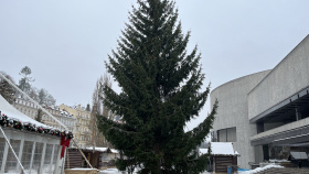 Město má nový vánoční strom. Poničenou douglasku nahradil smrk z Tuhnic