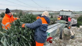 Lidé už chtějí jenom jedle…
