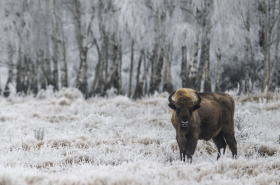 O práci v milovické rezervaci se zajímají desítky vědců  a stovky studentů z celého světa