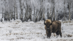 O práci v milovické rezervaci se zajímají desítky vědců  a stovky studentů z celého světa