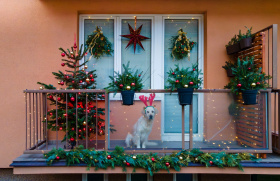 Začala soutěž o nejkrásnější vánoční výzdobu