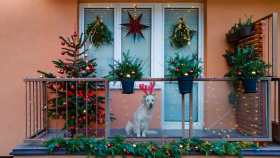 Začala soutěž o nejkrásnější vánoční výzdobu