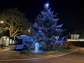 ČEZ rozsvítí rekordních 374 stromečků po celé ČR; lidé budou hlasovat o nejhezčím