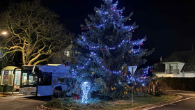 ČEZ rozsvítí rekordních 374 stromečků po celé ČR; lidé budou hlasovat o nejhezčím