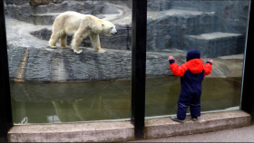 Místo novoročního ohňostroje nabídne Praha zvýhodněné vstupné na řadu míst