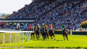 Konec nejistoty. Koně ve 120. dostihové sezoně v pražské Chuchli poběží