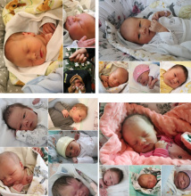 Kliknutím zvětšíte obrázek