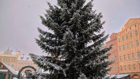 Vánoční kráska zmizí z náměstí v pondělí 12. ledna