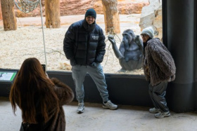 Kliknutím zvětšíte obrázek