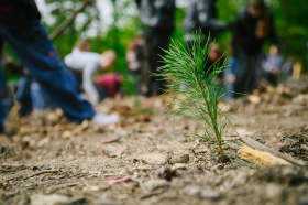 Metropole se letos zazelená