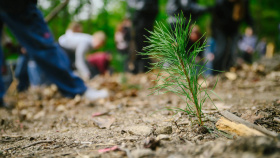 Metropole se letos zazelená