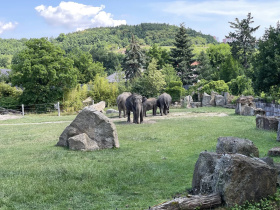 Zoo Praha bude mít poprvé v historii za šéfku ženu Lenku Poliakovou