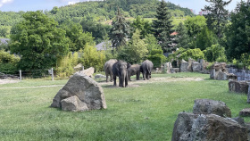 Zoo Praha bude mít poprvé v historii za šéfku ženu Lenku Poliakovou