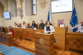 Kliknutím zvětšíte obrázek