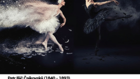 Labutí jezero jako živý, emotivní příběh