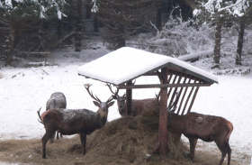 Pozvánka na konferenci a hlasování v anketě Osobnost myslivosti Libereckého kraje
