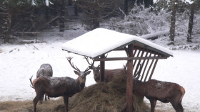 Pozvánka na konferenci a hlasování v anketě Osobnost myslivosti Libereckého kraje