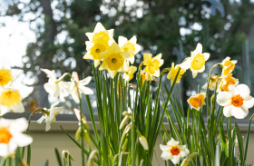 Kliknutím zvětšíte obrázek