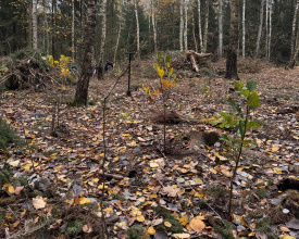 Efektivní ochrana přírody se obejde i bez státních dotací