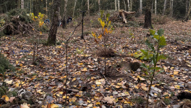 Efektivní ochrana přírody se obejde i bez státních dotací