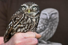 Kliknutím zvětšíte obrázek