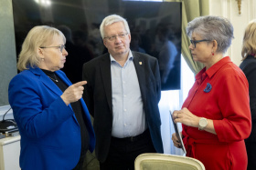 Senát otevřel problém rozvodové novely a nutnost ochrany dětí před násilím