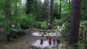 Do hradeckých lesů bude jezdit více spojů MHD