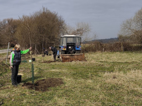 Původní topolovou alej nahradily duby a ovocné stromy, obec na jejich výsadbu získala grant od Nadace ČEZ