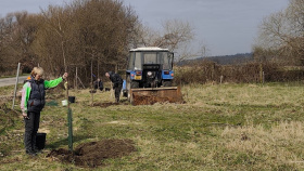 Původní topolovou alej nahradily duby a ovocné stromy, obec na jejich výsadbu získala grant od Nadace ČEZ