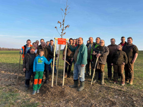 Kliknutím zvětšíte obrázek