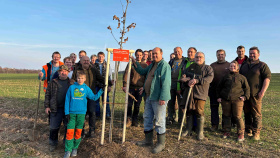 Městys se spojil s vlastníky pozemků a společně u zaniklé samoty   poplužního dvora vysadili za přispění Nadace ČEZ 17dubů zimních