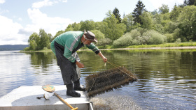 Lipenští candáti dostanou hnízda z kominických štětekLipenští candáti dostanou hnízda z kominických štětek