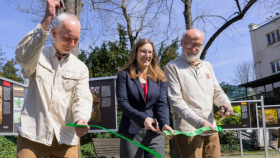 Pražská zoo zahájila sezonu. Mezi novými přírůstky jsou šelmy hyenka a zorila, rozšíří se i stádo žiraf