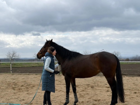 Kliknutím zvětšíte obrázek