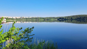 Den pro les. Dobrovolníci zasadí stromy u Boleveckého rybníka, registrace účastníků je nutná