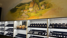 Stříbrný poklad od Dolního Čepí se dočkal rozšíření