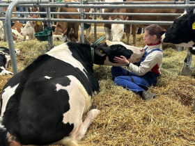 Kliknutím zvětšíte obrázek