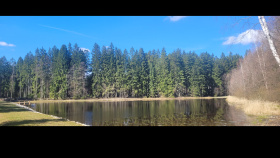 Lesy ČR obnovily dvě nádrže v Železných horách