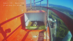 Kliknutím zvětšíte obrázek