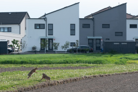 Kliknutím zvětšíte obrázek