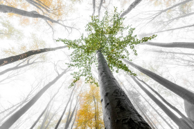 Kliknutím zvětšíte obrázek
