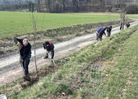 Kliknutím zvětšíte obrázek