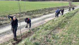 Obyvatelé Chmelné vysadili podél polních cest další alej