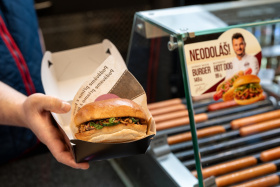 Kliknutím zvětšíte obrázek