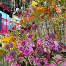 Kliknutím zvětšíte obrázek