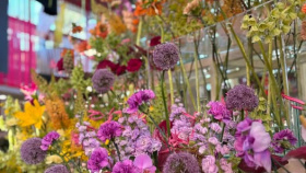 Výstava Flora Olomouc končí v neděli