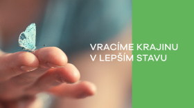 Proti prachu používají těžaři vodu i mladé stromy