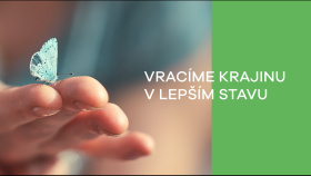 Proti prachu používají těžaři vodu i mladé stromy